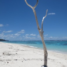 Plage de Pénélo à Maré des îles Loyauté en Nouvelle Calédonie.